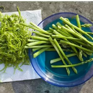 Какой самый сильный афродизиак среди доступных в нашей стране?